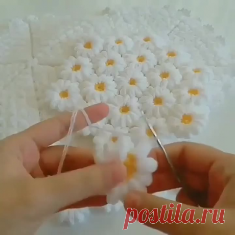 23 июля 2020