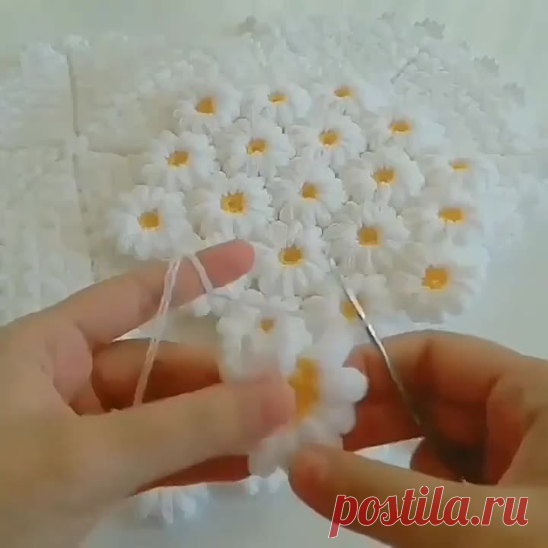 23 июля 2020