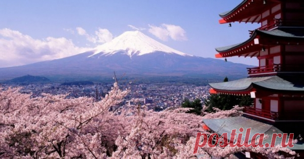 Японская мудрость. Кратко и в точку