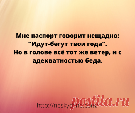 Подборка лучших анекдотов для «зачетного» настроения