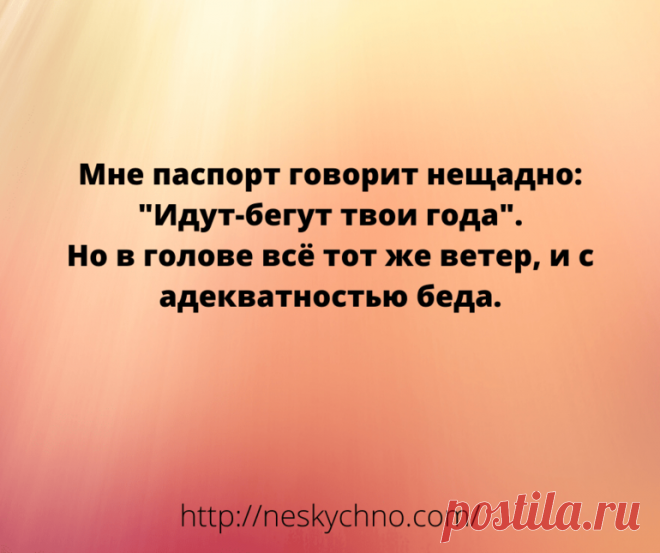 Подборка лучших анекдотов для «зачетного» настроения