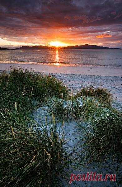 (97) Pinterest
