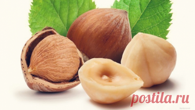 Как с помощью орехов не только сохранить, но и улучшить своё здоровье