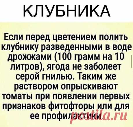 ccZwYflWfEU.jpg (750×718)