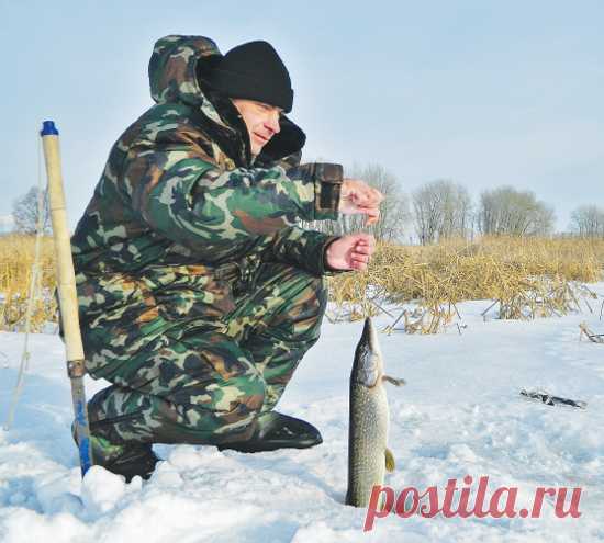 Рыбалка в декабре - www.oir.su Странное это время — первый месяц зимы. Неоднозначный период для рыболовов. На севере водоемы уже сковало прочным ледяным панцирем. А в южных регионах зима еще только начинает о себе заявлять. И все же начало месяца на большей части страны ассоциируется с перволедьем, богатым на уловы и положительные эмоции. А вот конец декабря — это уже глухозимье, когда и мелкий ершик — в радость. Но обо всем по порядку.