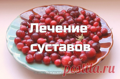 Рецепт нашла у "К.НИШИ" и благодаря составу клюква+мёд+чеснок и 
компрессу из соли и мёда вылечила суставы..
На курс понадобится 1 кг меда, 1 кг клюквы, 200 г чеснока. Клюкву и чеснок 
прокрутить на мясорубке с мелкой решеткой. Размешать и поставить в 
холодильник на сутки. На следующий день добавить 1 кг меда, хорошо 
перемешать. Лекарство готово. Принимать по 1 ст. ложке 3 раза в день до еды. 
Если болезнь запущена, надо пройти 2 или даже 3 курса подряд. И пить больше
жи...