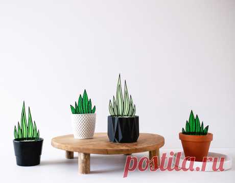 Sanseveria – Glas & Glas