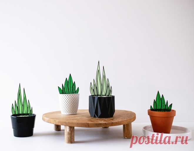 Sanseveria – Glas & Glas