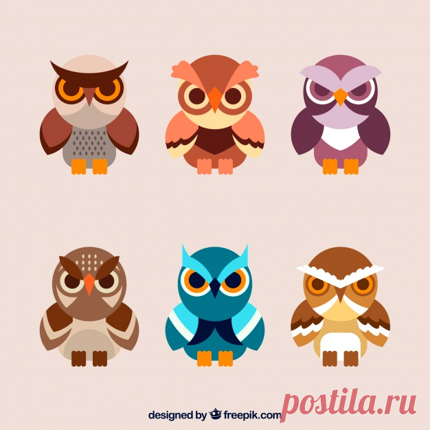 Сбор плотной совы Более миллиона свободных векторов, PSD, фотографии и бесплатные иконки. Эксклюзивные халявы и все графические ресурсы, которые необходимые для ваших проектов