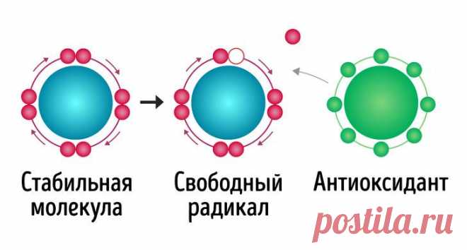 Что такое лифтинг-диета и как она помогает избавиться от морщин и лишнего веса Одна из насущных проблем, которые волнуют многих женщин чуть ли не круглые сутки, — это лишний вес.