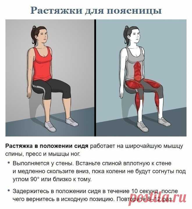 Растяжки для поясницы