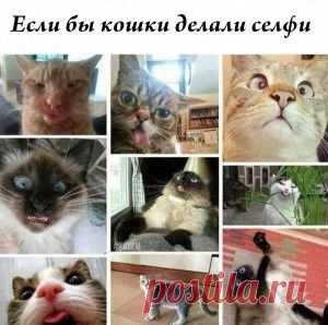 Фотографии сайта «Природа планеты в объективе»