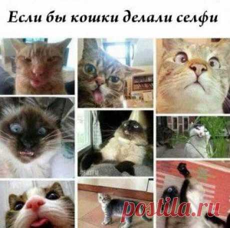 Фотографии сайта «Природа планеты в объективе»