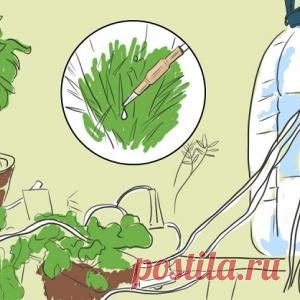 Растения будут поливать себя сами! Автоматическая система, продуманная до мелочей!