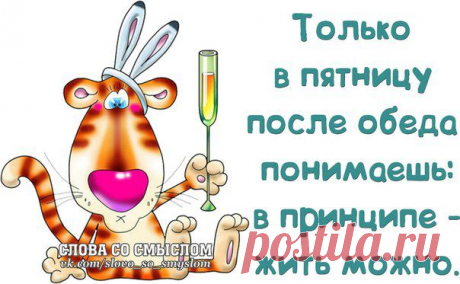 НАЧНЁМ НОВЫЙ ГОД С ЮМОРА! | Сайт Союза Юмористов