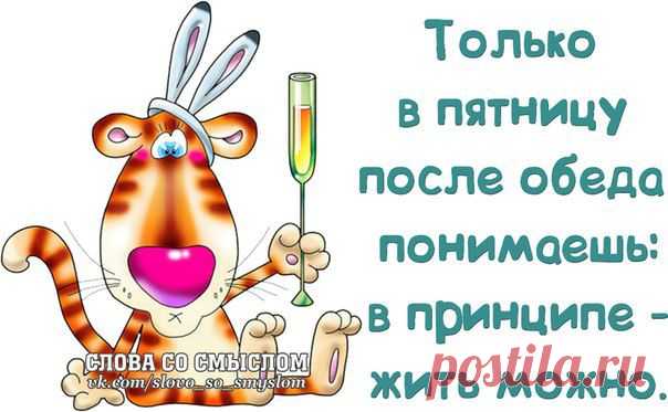 НАЧНЁМ НОВЫЙ ГОД С ЮМОРА! | Сайт Союза Юмористов