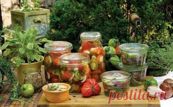 РЕЦЕПТЫ И СОВЕТЫ ХОЗЯЙКАМ: 20 лучших салатов на зиму