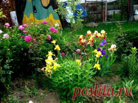 Молотком...по астрам! | Подружки