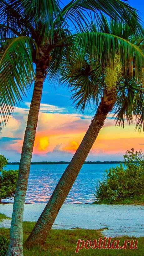 моря и реки