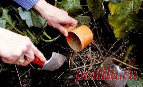 Какие удобрения нужны для огорода? | Огородник (Усадьба)