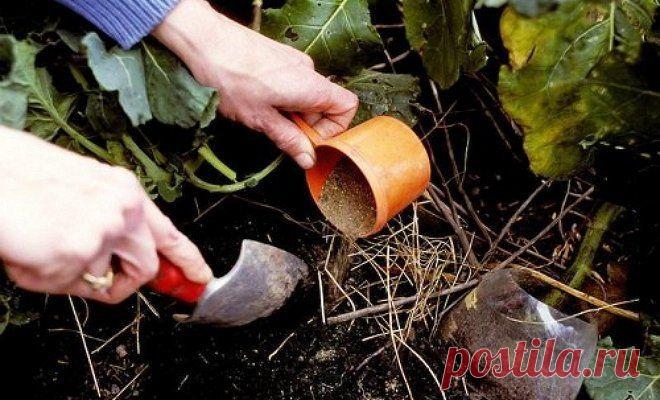 Какие удобрения нужны для огорода? | Огородник (Усадьба)