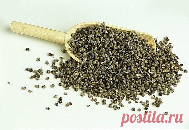 Монгольский рецепт лечения ангины.