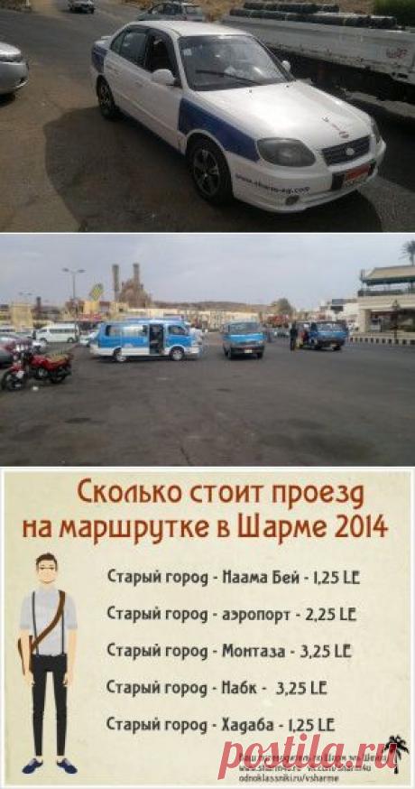 Транспорт в Шарм-эль-Шейхе: на чем, куда и почем | Ваш путеводитель по Шарм-эль-Шейху