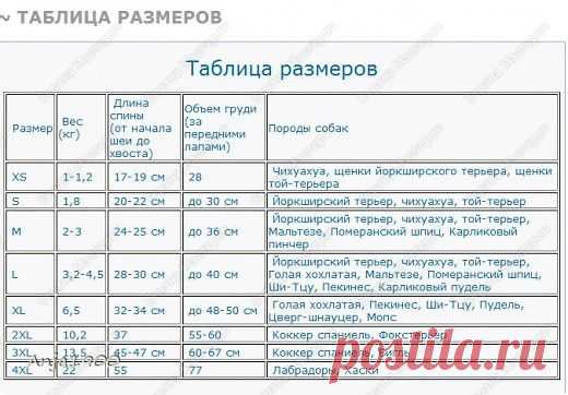 Вязание спицами - Свитер для маленькой собачки » Поиск мастер классов, поделок своими руками и рукоделия на SearchMasterclass.Net