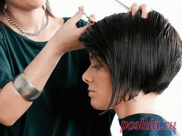 Календарь стрижек — 2019

Бабушка уже 40 лет стрижется по лунному календарю… Ее волосам завидуют все мои подружки! 

Говорят, что в волосах женщины есть что-то магическое. Они не только украшают, но и влияют на судьбу. Поэтому многие парикмахеры и астрологи советуют выбирать для различных манипуляций с волосами определенные дни. А поможет тебе в этом выборе лунный календарь. По Луне стриглись еще наши предки, и, глядя на волосы некоторых бабушек, просто удивляешься, как в ...