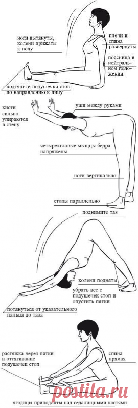Жесткие подколенные сухожилия - ловушка для спины.