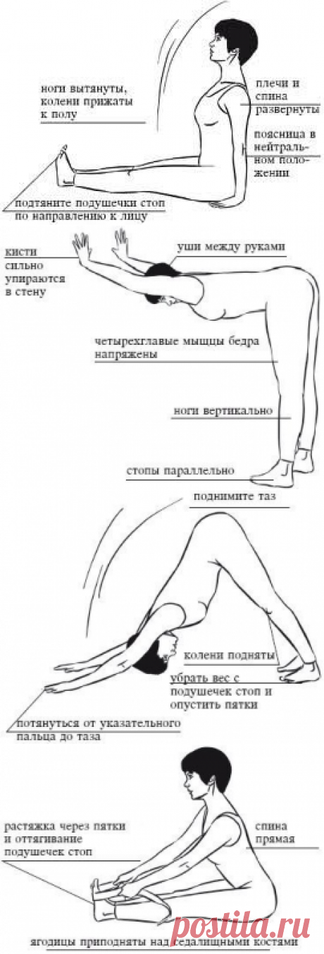 Жесткие подколенные сухожилия - ловушка для спины.