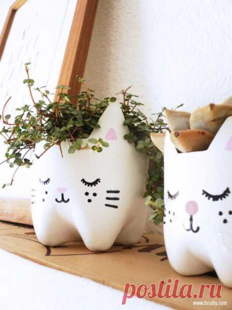 DIY : Kitty planters from plastic bottles | Recyclart