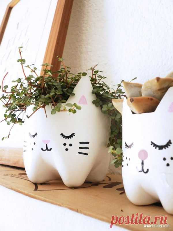 DIY : Kitty planters from plastic bottles | Recyclart