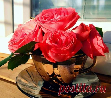 С добрым утром🌞 Я угощу Вас чаем из мечты... Налью побольше Веры и Надежды. И, согревая солнцем золотым, В него добавлю Доброту и Нежность. И Дружбу без предательства и лжи. Конечно не забуду о Здоровье, Ах, да ещё Улыбок для души... Всё это можно пить , смешав с Любовью!🌹🍃🌹🍃🌹