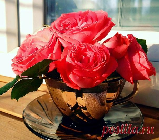 С добрым утром🌞 Я угощу Вас чаем из мечты... Налью побольше Веры и Надежды. И, согревая солнцем золотым, В него добавлю Доброту и Нежность. И Дружбу без предательства и лжи. Конечно не забуду о Здоровье, Ах, да ещё Улыбок для души... Всё это можно пить , смешав с Любовью!🌹🍃🌹🍃🌹