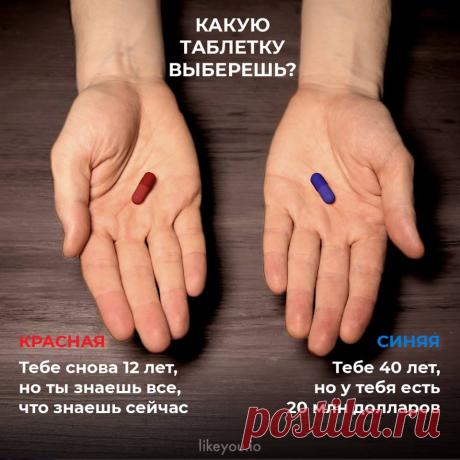Так какую вы бы выбрали?