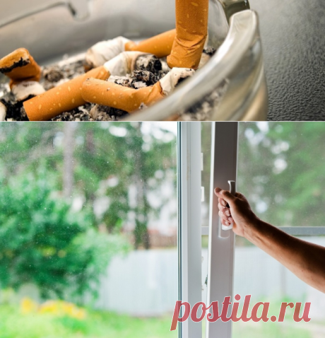 Как избавиться от запаха сигарет в квартире, доме, офисе, автомобиле