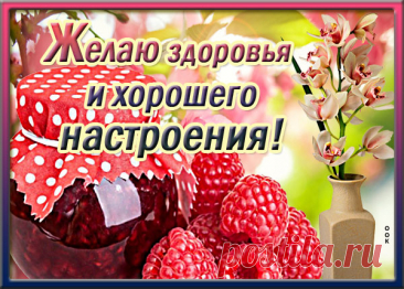 Не болейте, поправляйтесь,
Позитивным оставайтесь.
Я желаю сил и воли,
Чтоб болезнь Вы побороли. открытка здоровья и хорошего настроения
