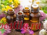 Эфирные масла в хозяйстве Всевозможные эфирные масла хороши не только для ароматерапии – немало пользы они принесут и в хозяйстве! Всего лишь несколько капелек этих душистых субстанций в сочетании с некоторыми иными ингредиентами способны заменить весьма внушительный ассортимент средств довольно агрессивной бытовой химии – смягчающие кондиционеры для одежды, высокоэффективные средства для мытья посуды, а также пятновыводители и даже освежители для любимой обуви. А еще с до...