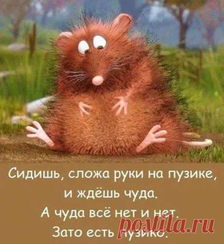 Жизнь дачника - это постоянная борьба.