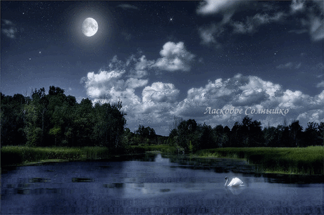 ЛУННОЕ ОТРАЖЕНИЕ