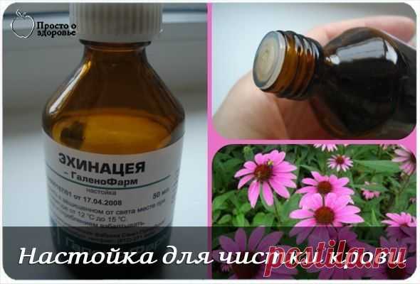 Настойка для чистки крови