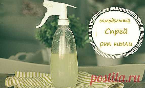 (+1) тема - Самодельный цитрусовый спрей от пыли | МОЯ КВАРТИРА