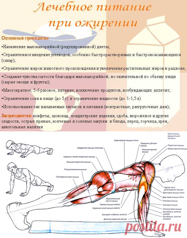 Подробный рацион правильного питания — Моё здоровое тело