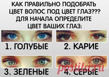 Идеальная Хозяюшка | ВКонтакте