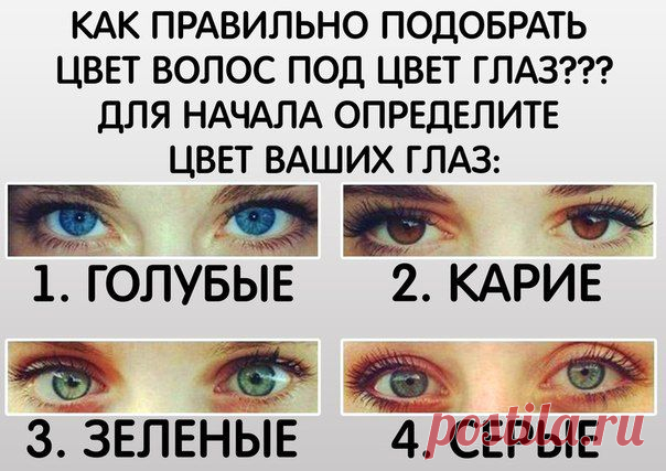 Идеальная Хозяюшка | ВКонтакте