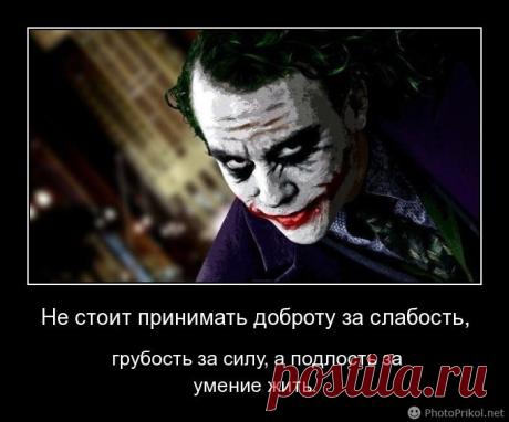 жизнь