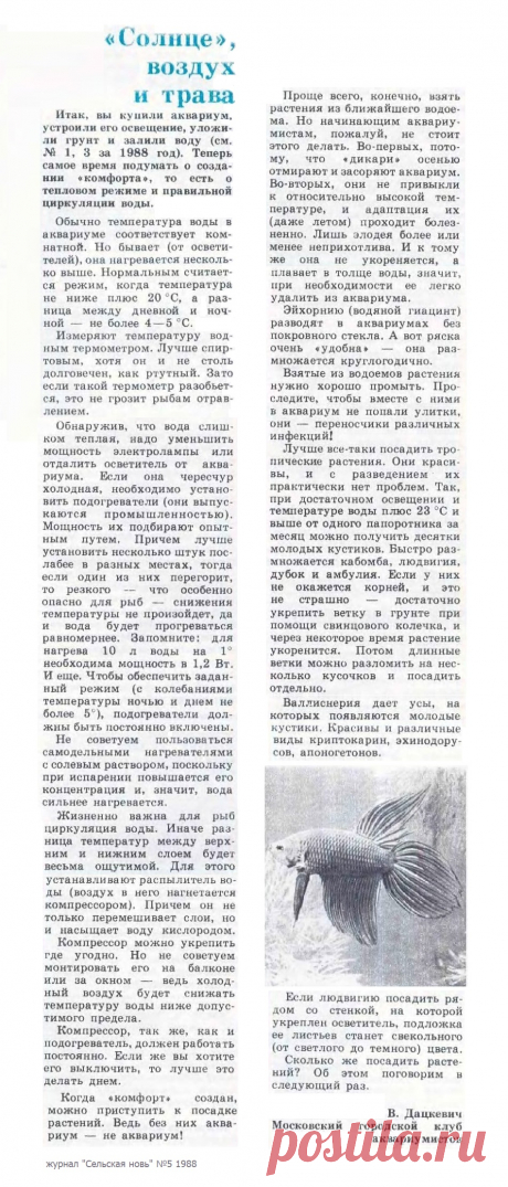 Создание &quot;комфорта&quot; в аквариуме