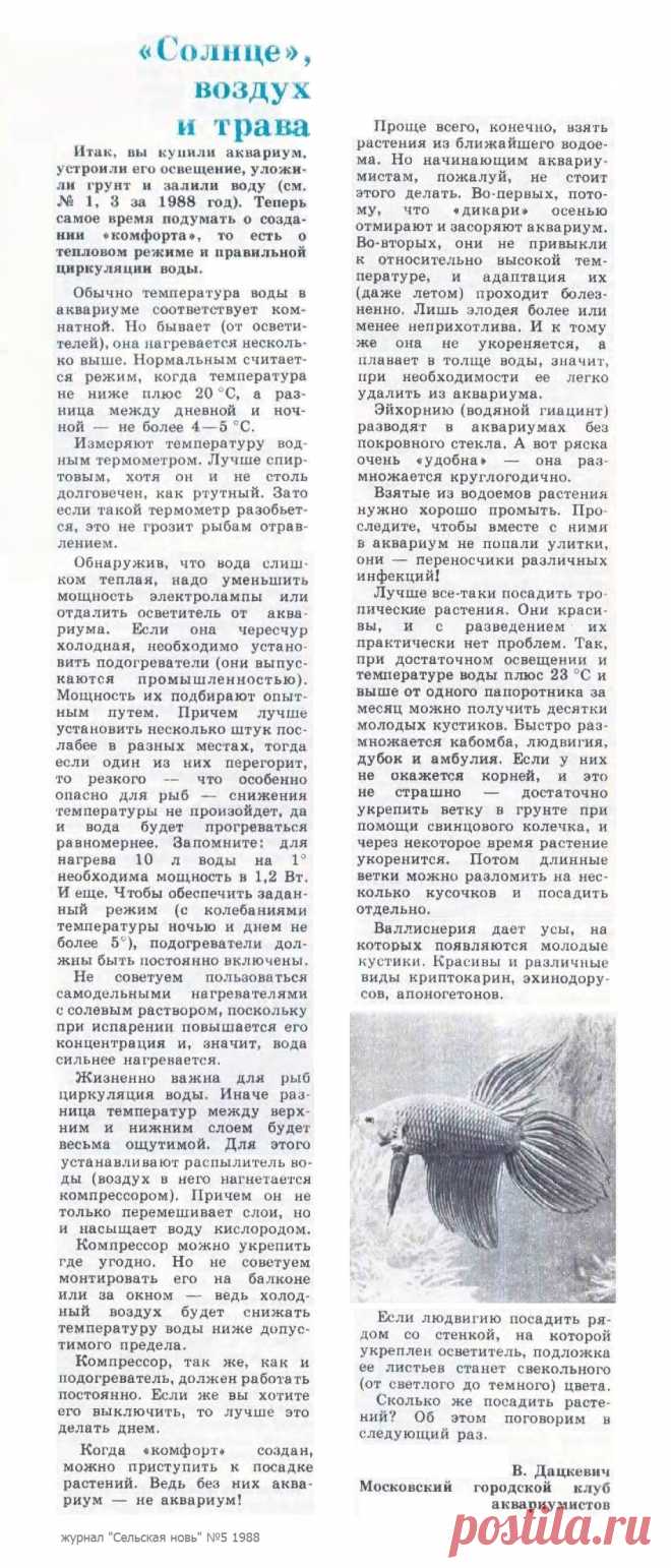 Создание "комфорта" в аквариуме