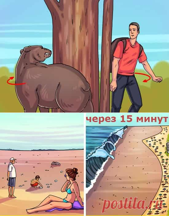 Несколько советов которые могут спасти вашу жизнь